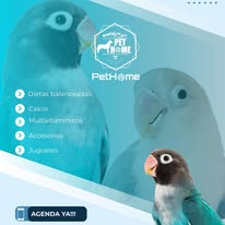 PetHome - Imagen 1