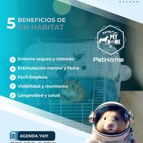 PetHome - Imagen 5