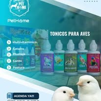 PetHome imagen informativa 2