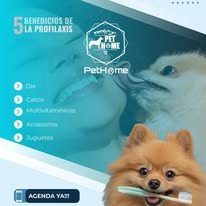 PetHome imagen informativa 6