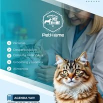PetHome imagen informativa 7