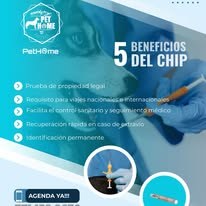 PetHome imagen informativa 8