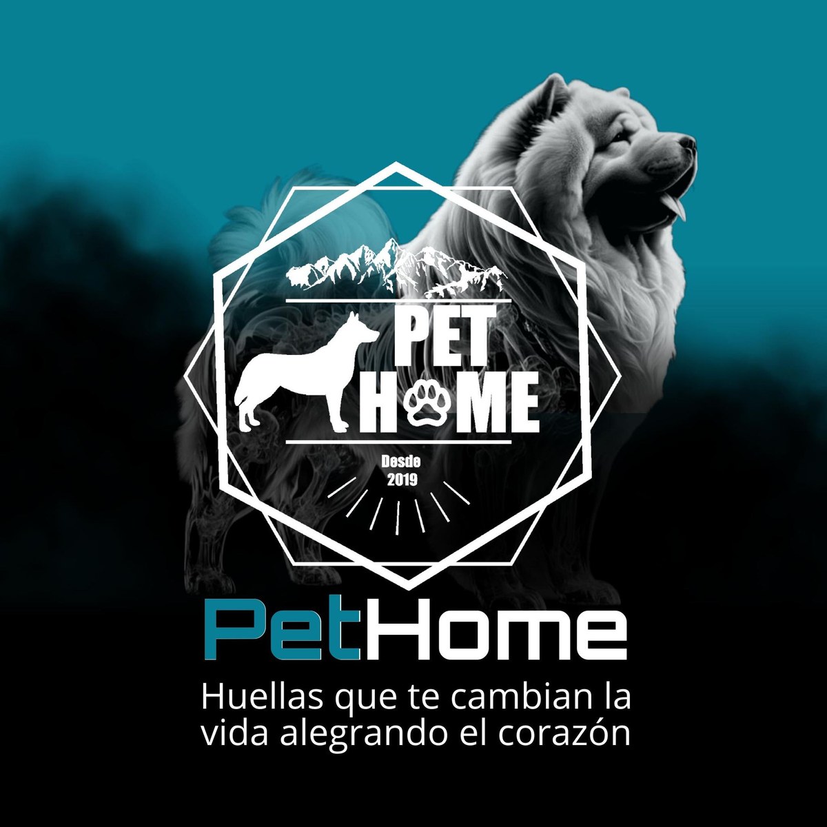 Logo PetHome
