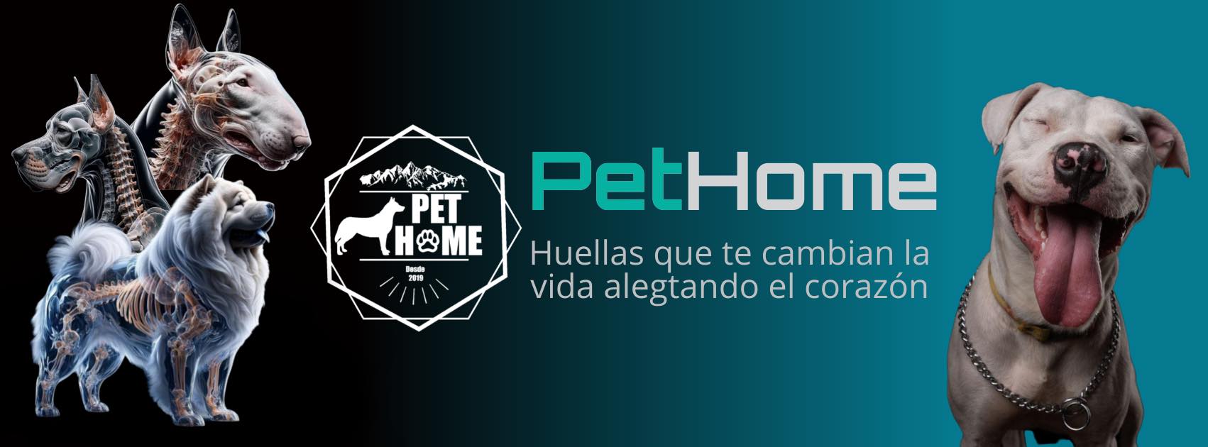 PetHome Veterinaria